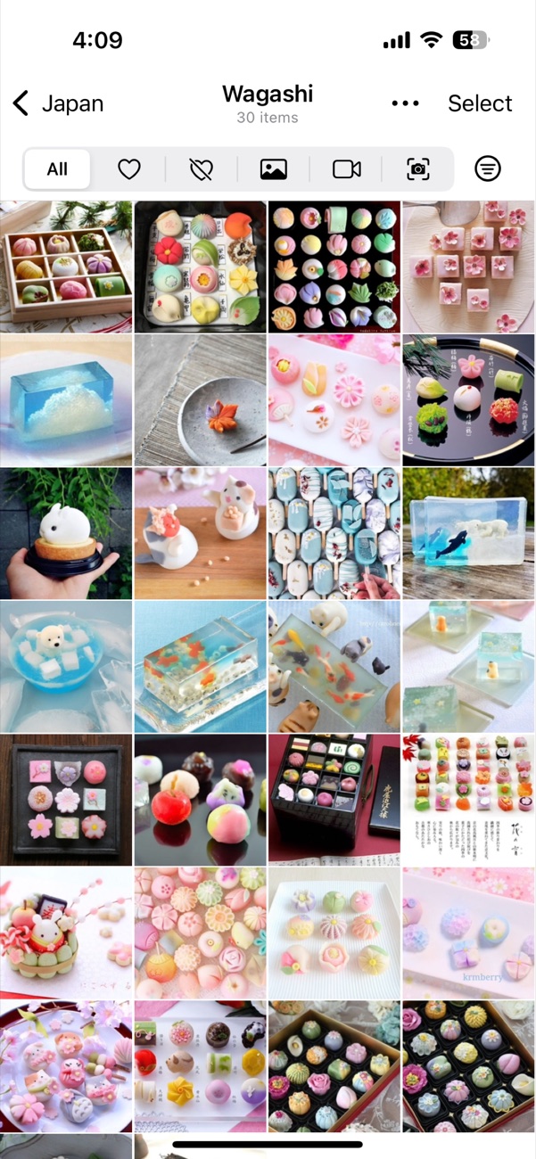 Opla album grid for Wagashi showing media filters and a dense photo grid